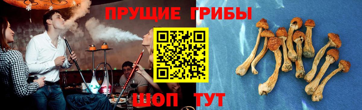 Галлюциногенные грибы GOLDEN TEACHER  Вход с VPN  Электросталь 